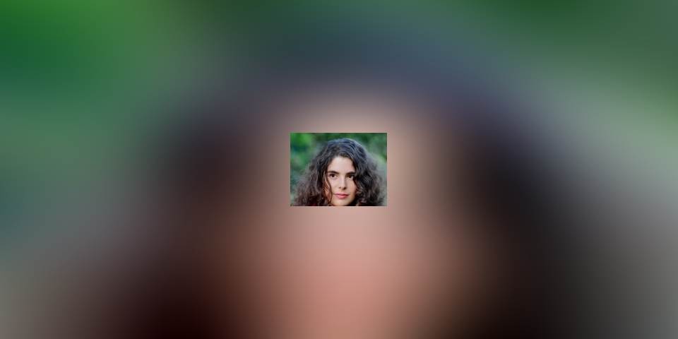 המשורר האלקטרוני