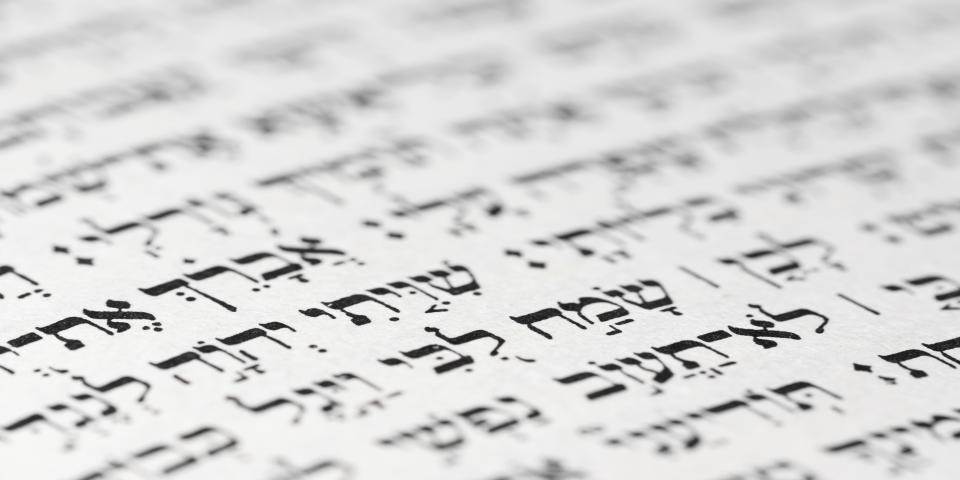 "בית קברות לשפות": האם הציונות מַחָקה לשונות ששימשו את היהודים לאורך הדורות?