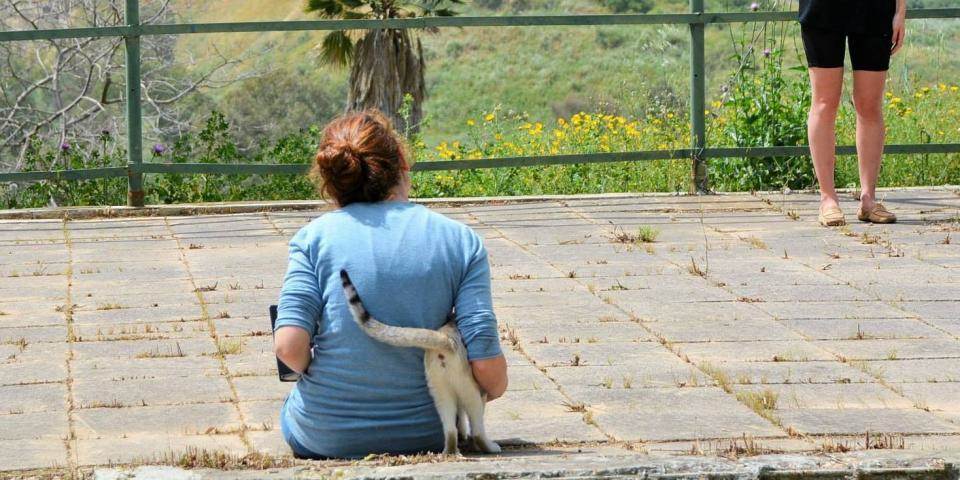 פסטיבל ארט קמפ: אמנות או נמות (מרעב)