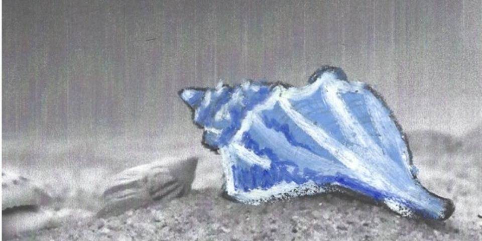 מול הים