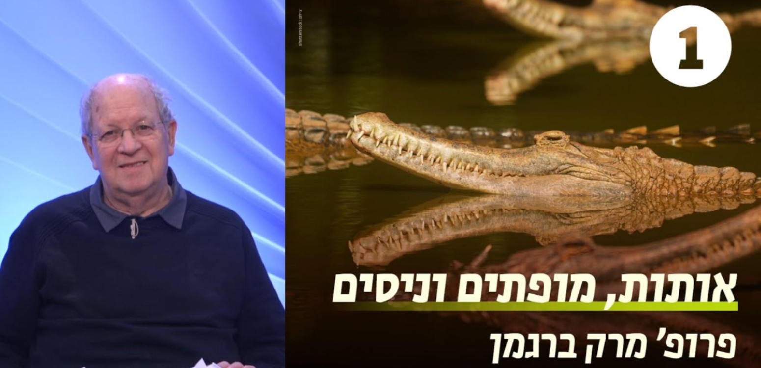 מבוא 