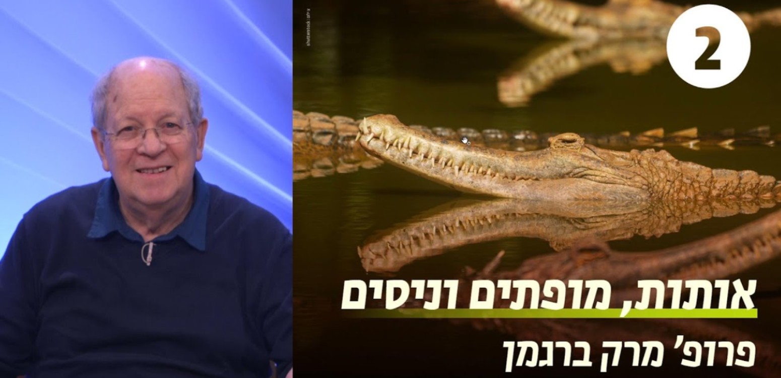 הפתיחתא בהלכה