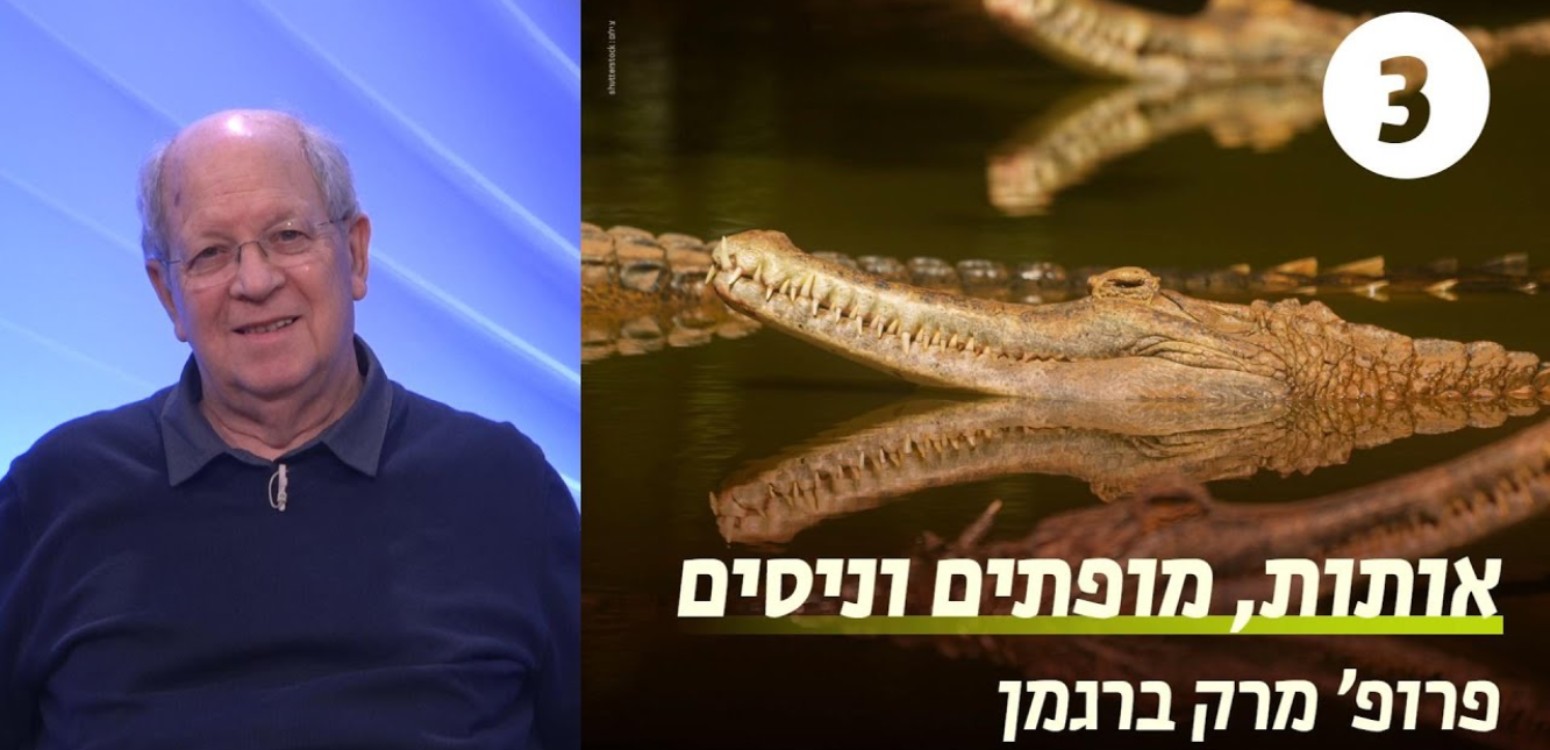 פתיחתאות לא הלכתיות