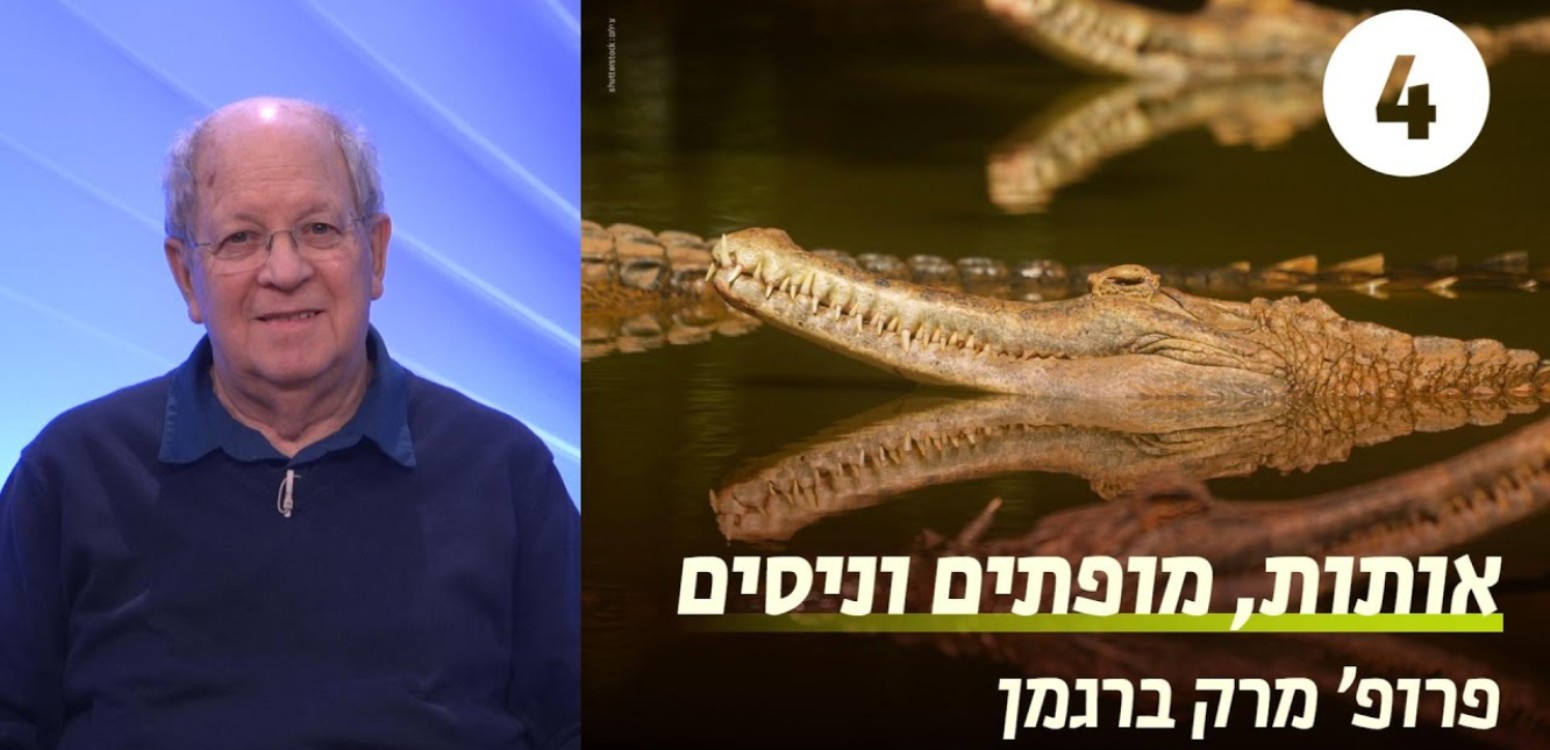 גוף הדרשה וסיום