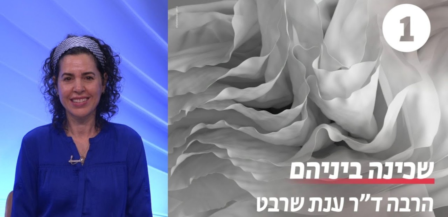 התפצלות הגישות