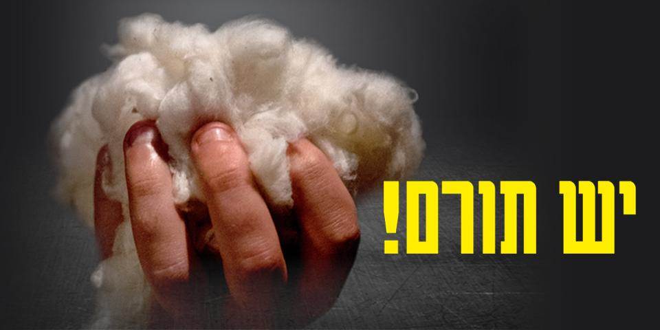 יש תורם!