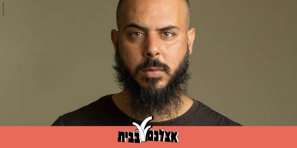זהב אריות