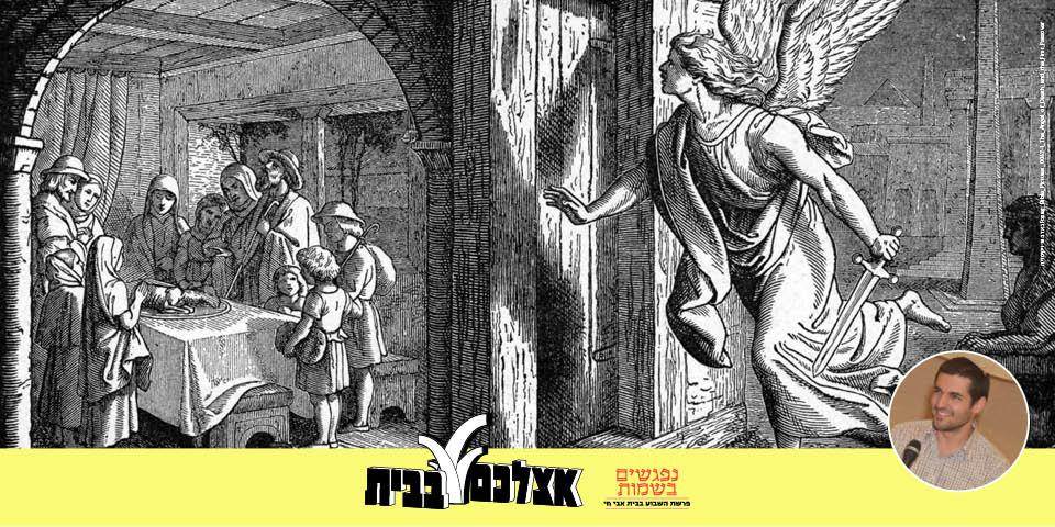 סדרת מפגשי פרשת שבוע עם רואי רביצקי
