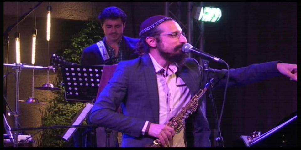 דניאל זמיר - הניצנים נראו בארץ