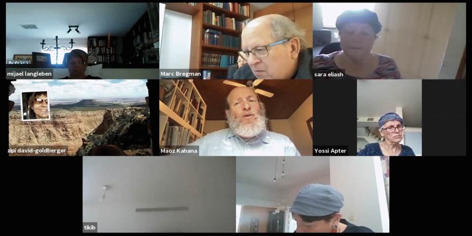 אותיות כמו סוסים