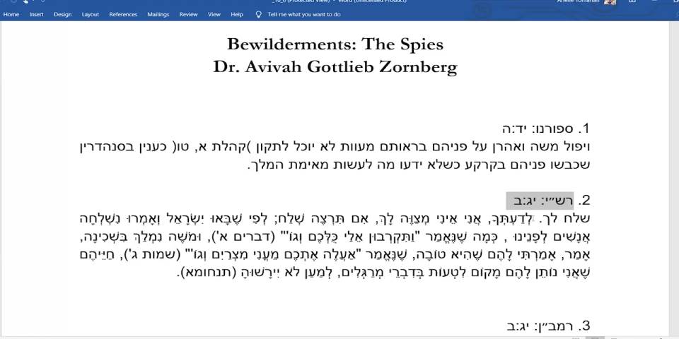 Bewilderments: The Spies