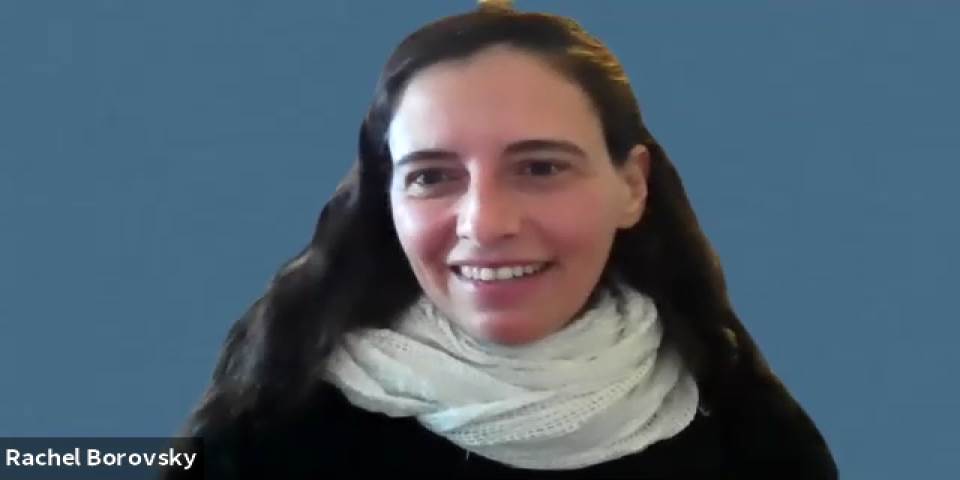 חנוכה וחיית המתכת