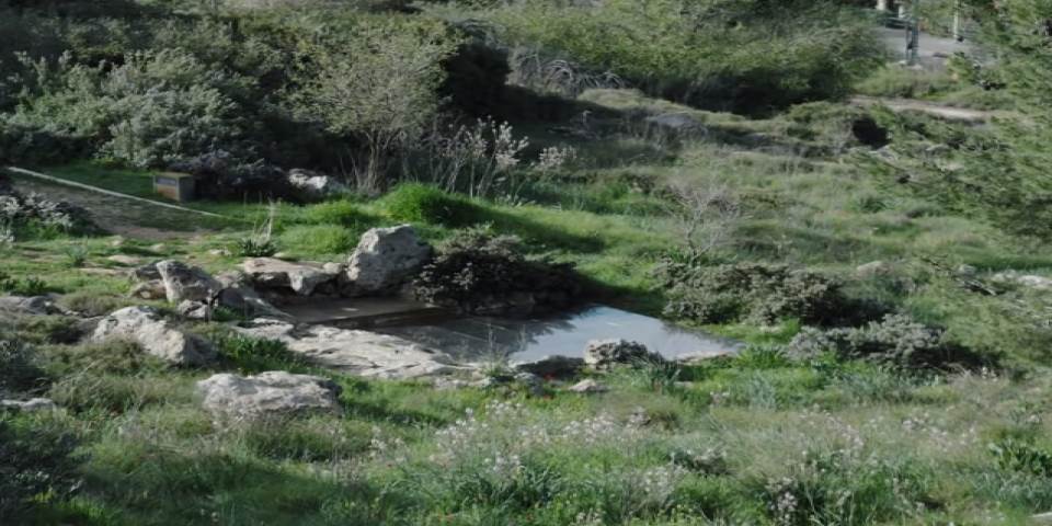 נקודת מבט - מבט על הטבע