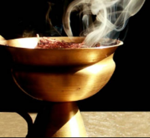 Reflections on the Book of Leviticus