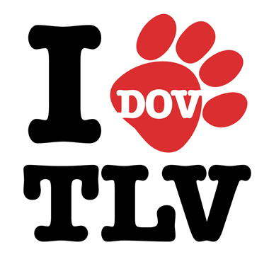 יגאל אלון באחמד טיוי